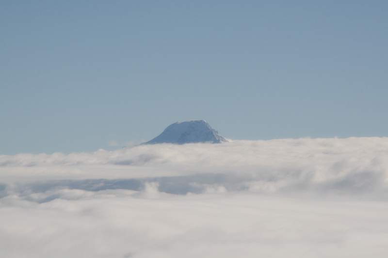 India & Nepal 2011 - 0348
